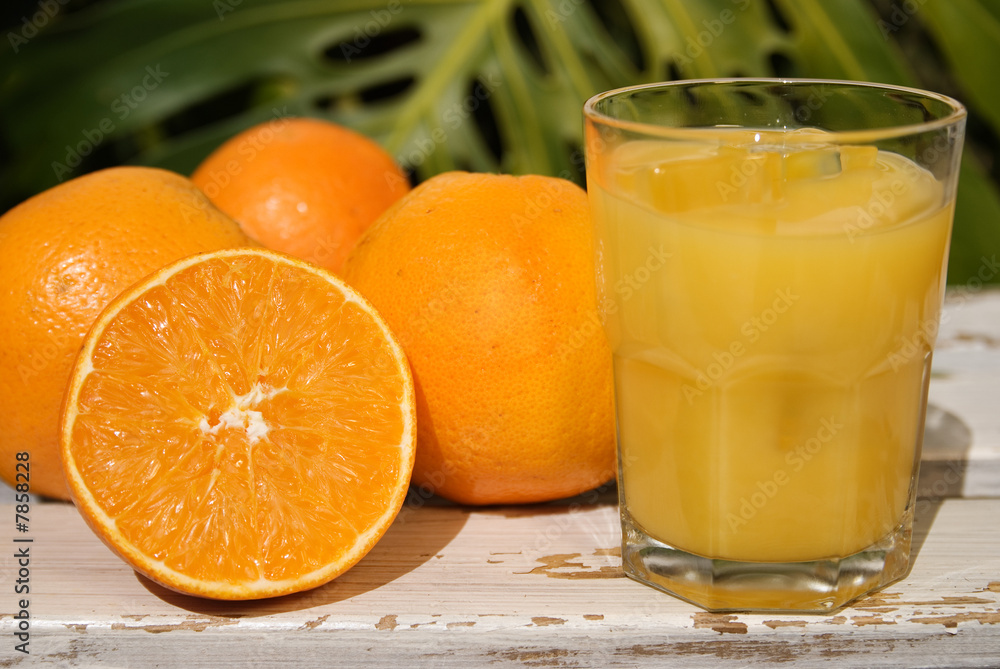 Tropical Orange Tropical Orange