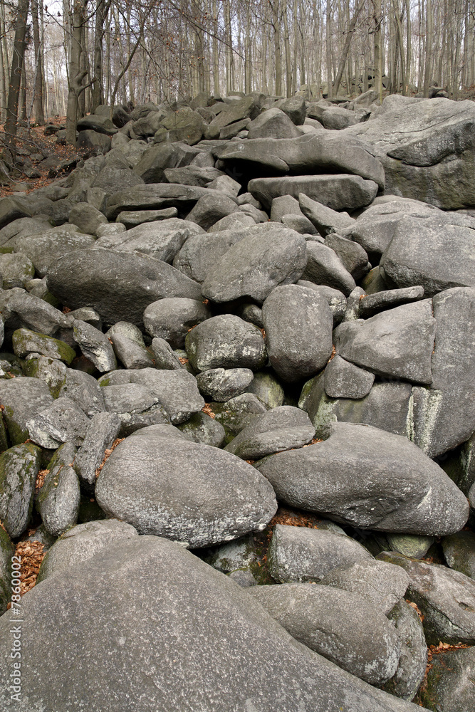 Steine des Felsenmeeres