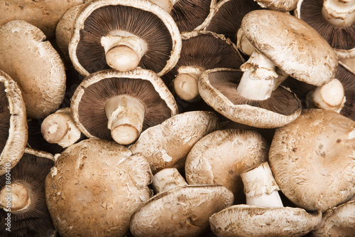 Portobello Mushrooms photo
