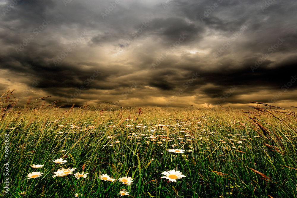 Naklejka premium Orageux