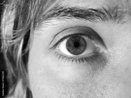 Oeil