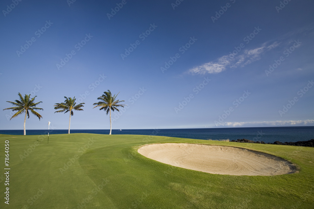 Obraz premium Hawaii Golf Course on Volcanic Coast of Kona Island