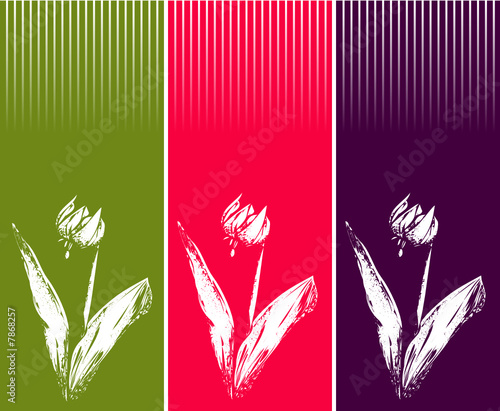 3 fleurs