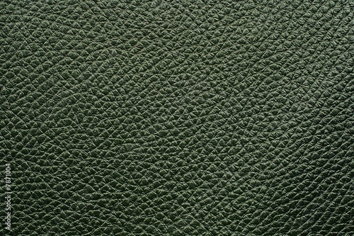 Wallpaper Mural Dark green leather Torontodigital.ca