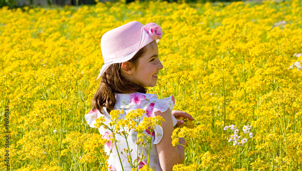 Little Girl in a Field of Goldenrods Little Girl in a Field of Goldenrods