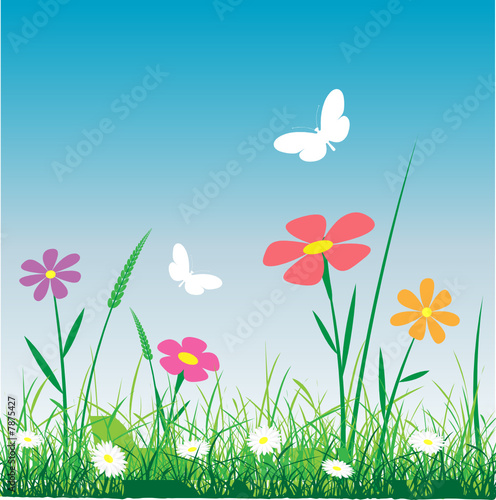 Grass with Flowers and Butterflies