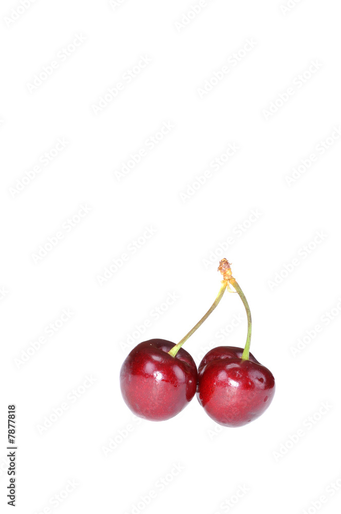pair of Fresh cherry's isolated pair of Fresh cherry's isolated