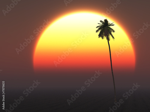 Hot Tropical Sun