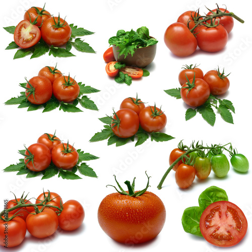 Tomato Sampler with clipping paths
