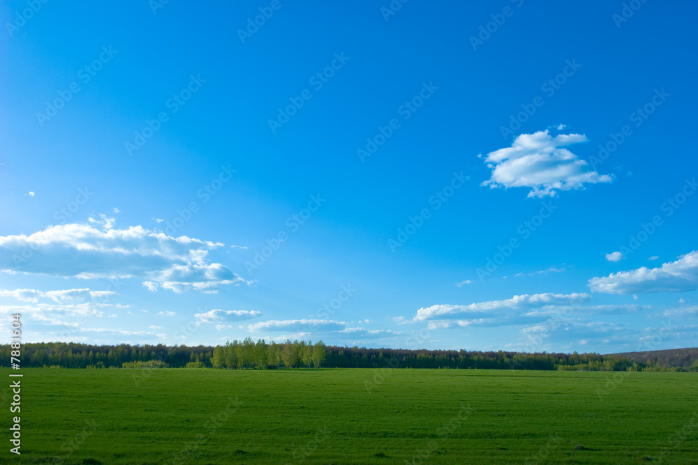 Green field landscape