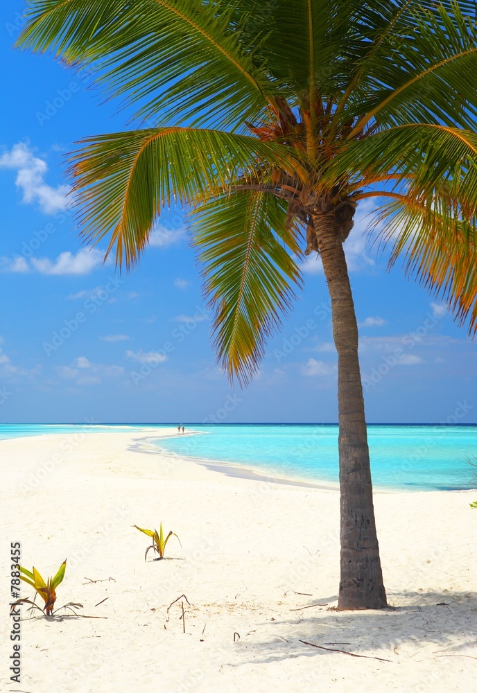 Obraz premium Infinity tropical beach