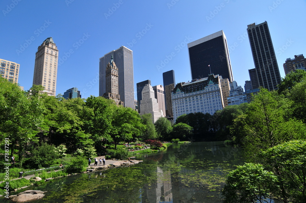 Central Park and skyscraper