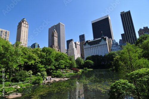 Central Park and skyscraper