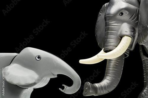 Photography elephants