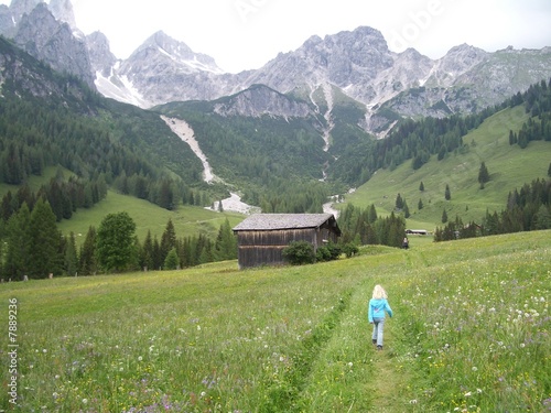 Zur Hofalm