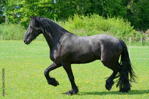 Friese