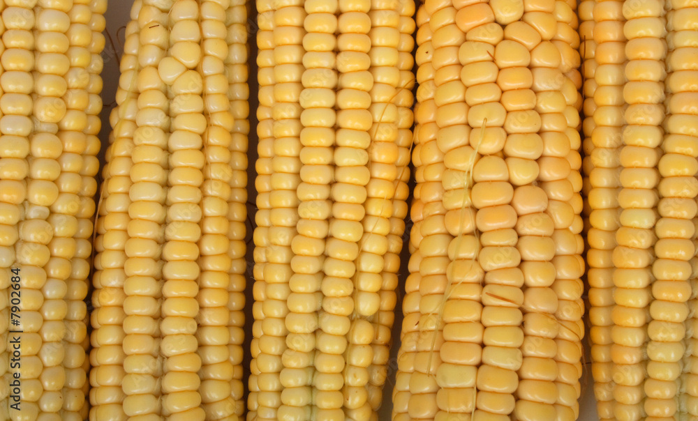 fresh maize fresh maize