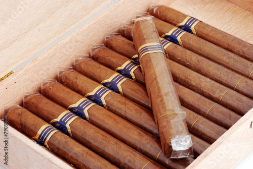 Cigars in a humidor isolated on white background