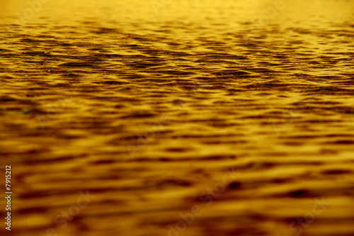 golden waters