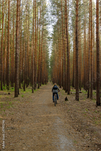 woman is cycling in pine forest