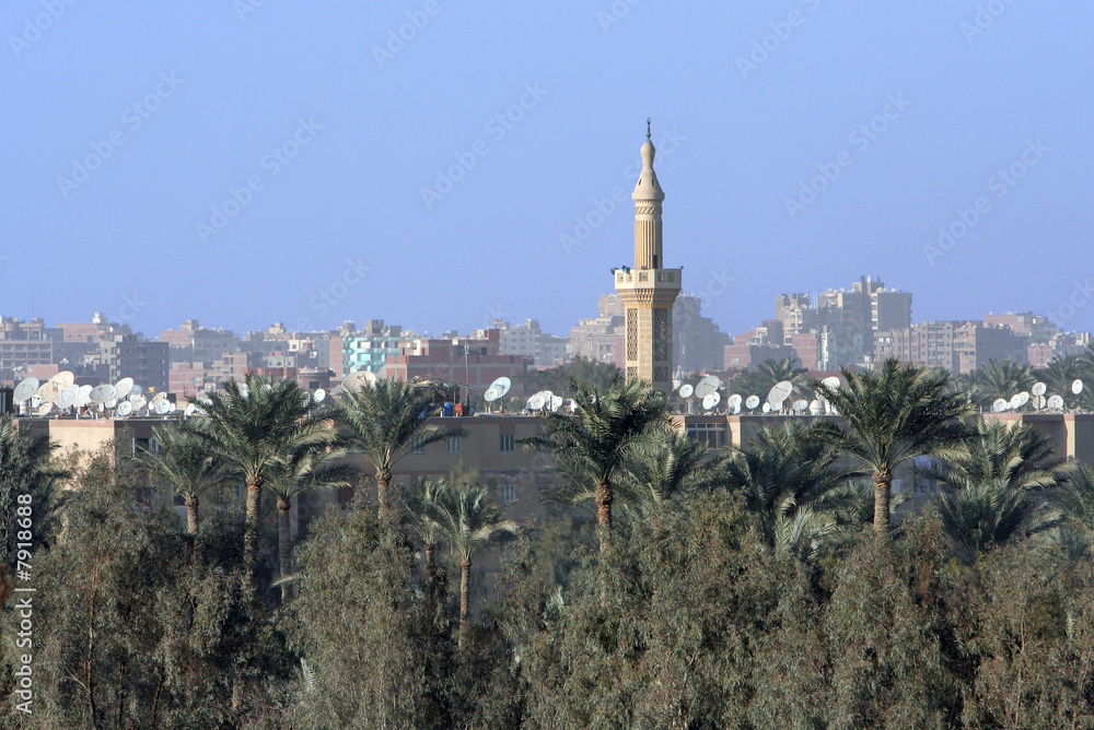 Mosqueé des palmier