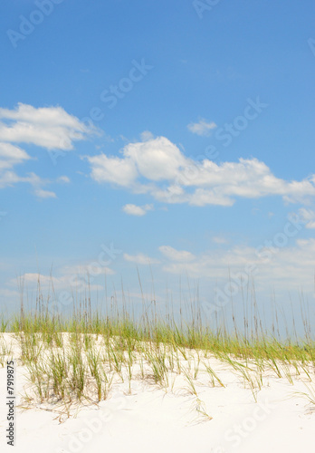 Fototapeta Naklejka Na Ścianę i Meble -  Sand Dune Under Idyllic Sky