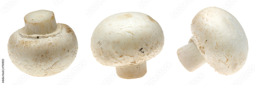Button mushrooms