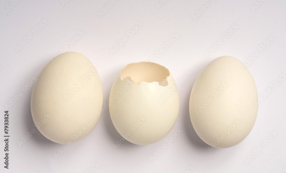 Egg Egg
