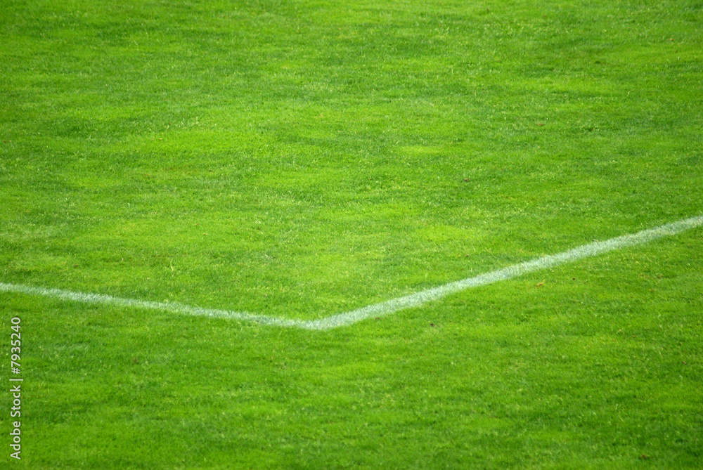 Obraz premium Fussballfeld 2