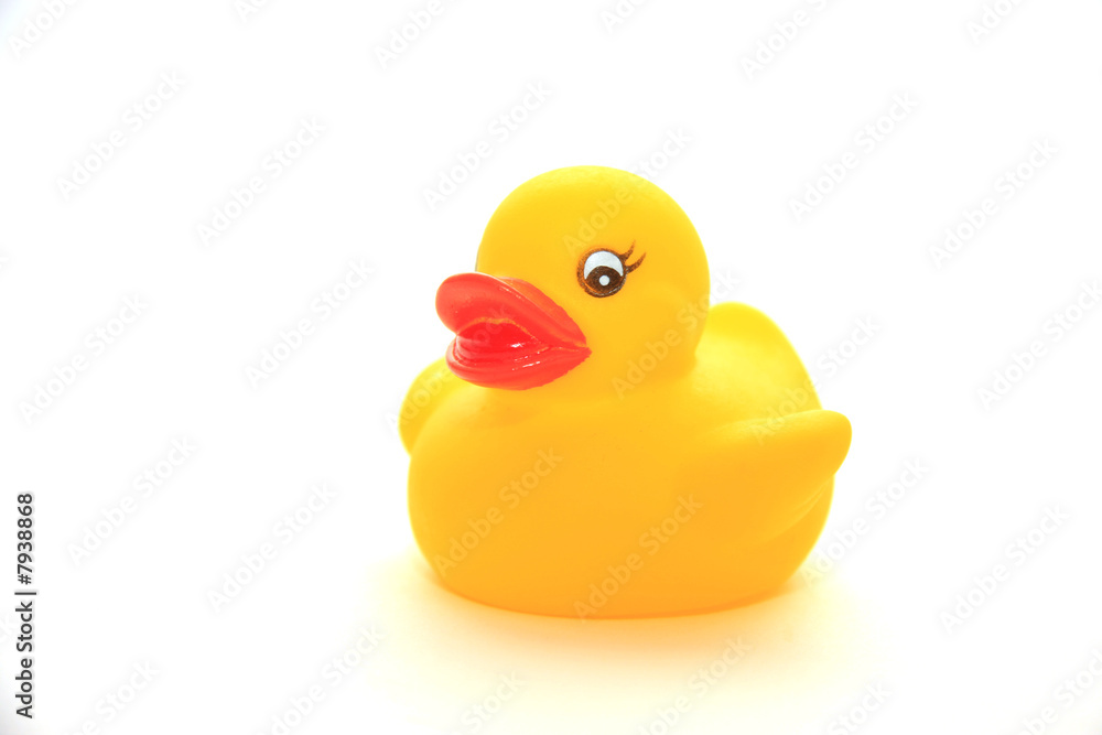 Canard jaune Canard jaune