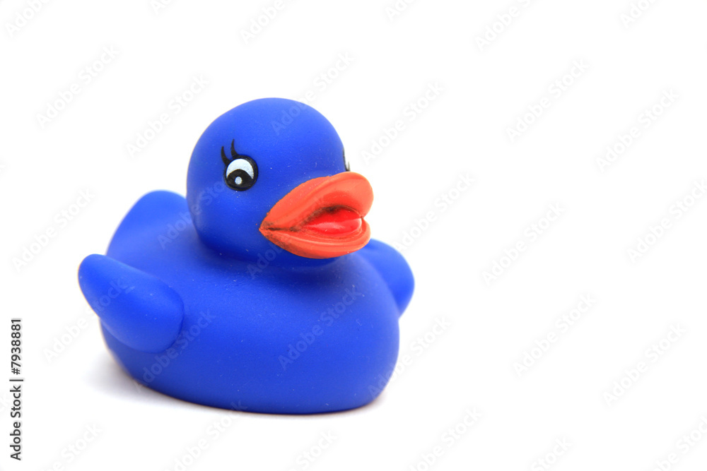 Canard bleu Canard bleu
