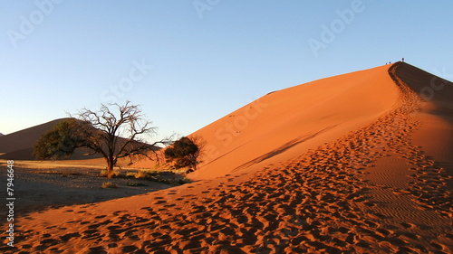 désert namibien photo
