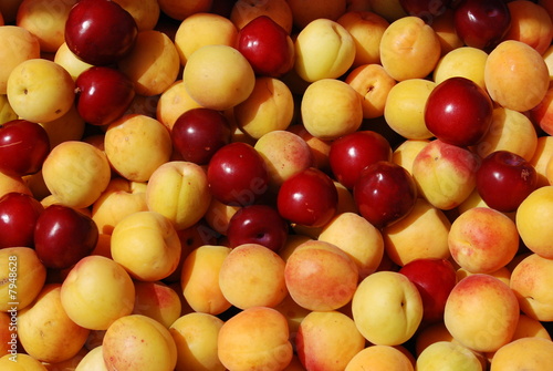 appricot and cherry photo