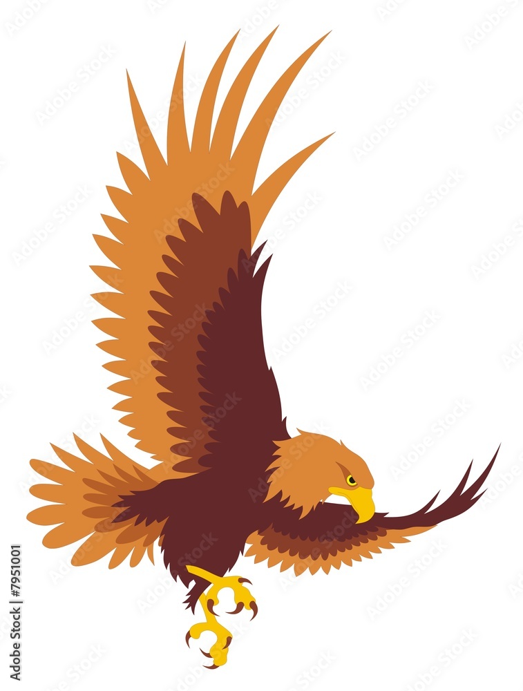 Naklejka premium Eagle