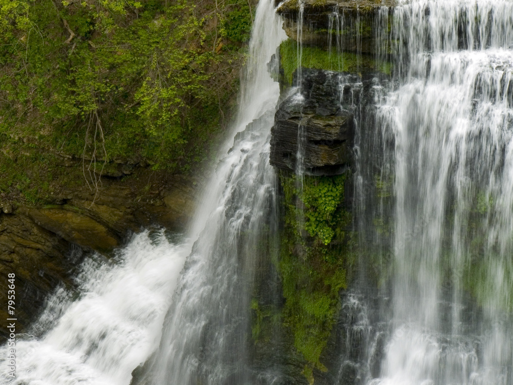 Fototapeta premium Burgess Falls rocks and mist 20080426-1170908