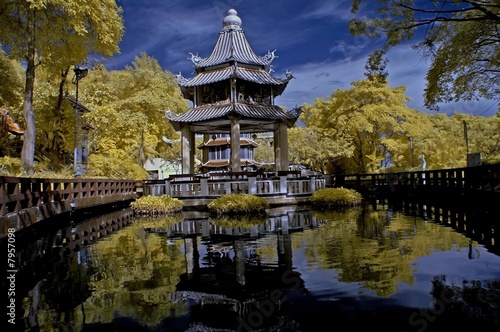 chinese pagoda and tree in the theme parks