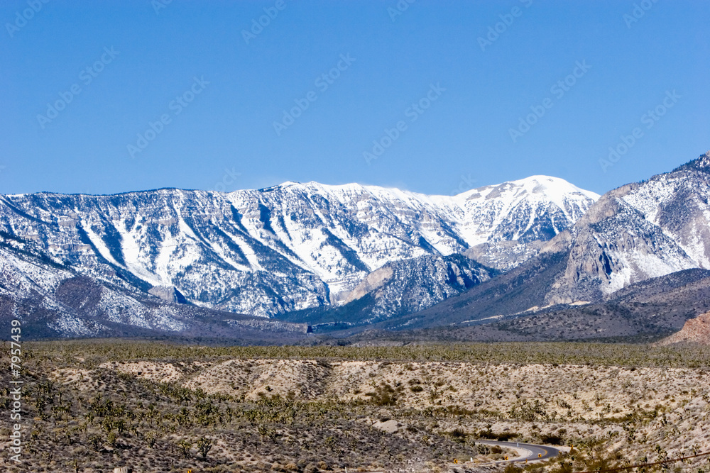Mount Charleston in Nevada