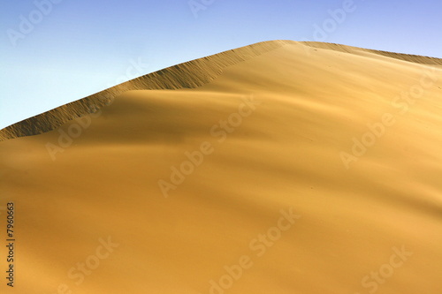 Beautiful desert Dune