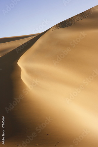 Curved desert dune