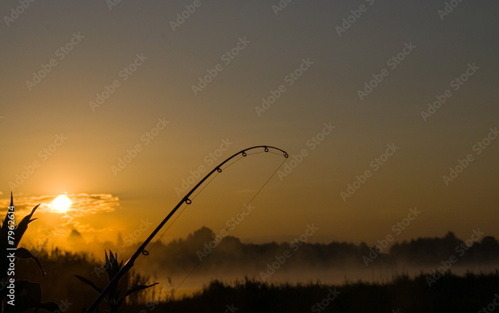 fishing