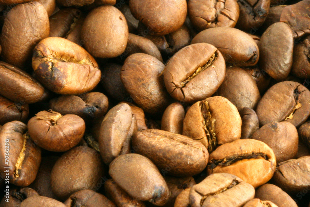 Coffee Coffee