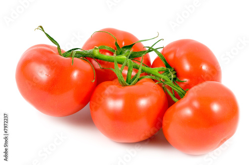 Fresh tomatoes isolated on a white background.