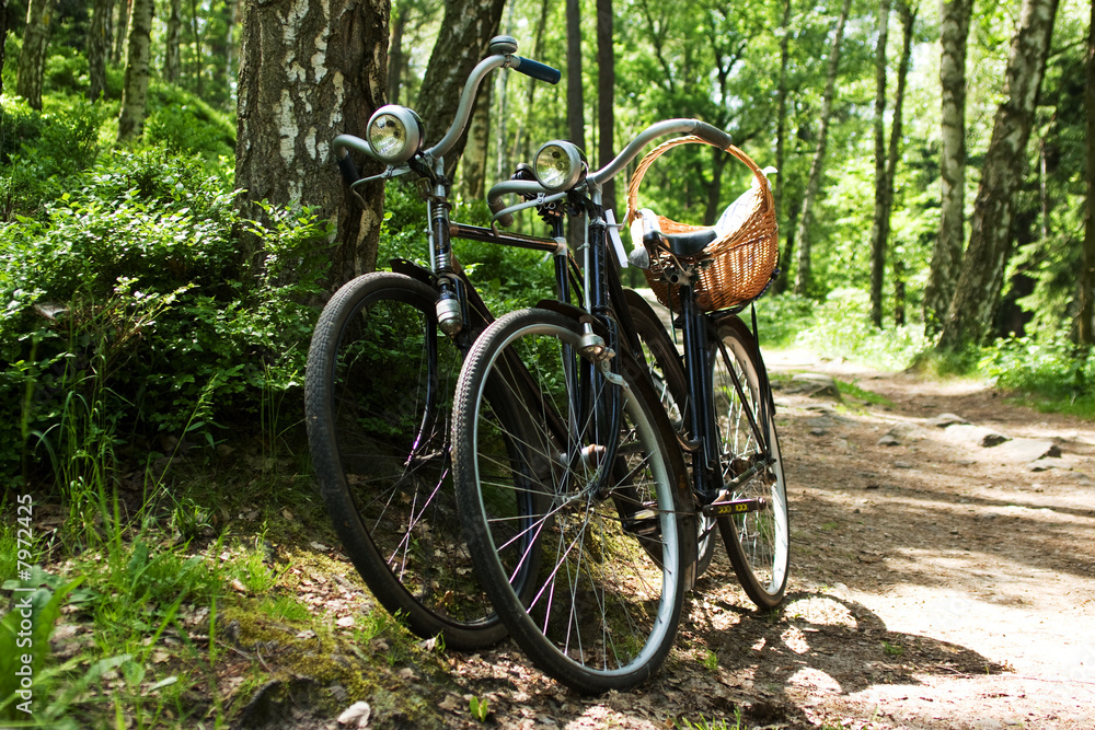 Two bikes in forest