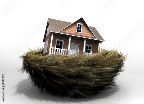 House in nest