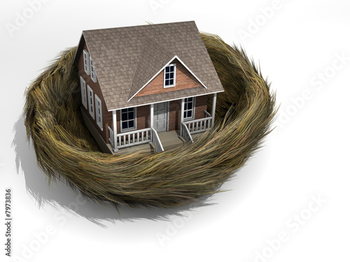 House in nest