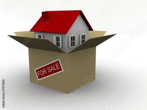 House in box