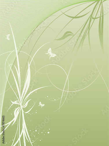 vector background with plants and butterflies