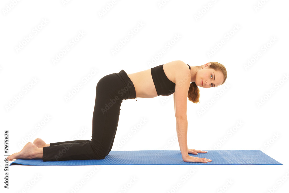 Pilates exercise series