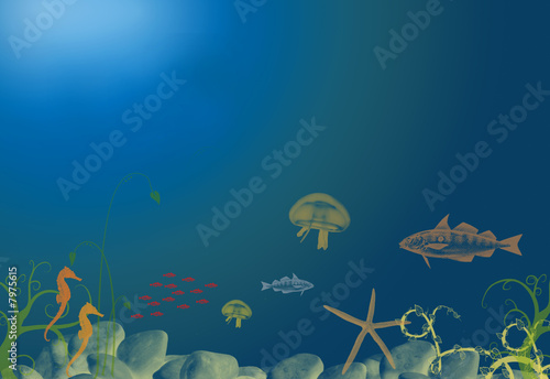 Sea life