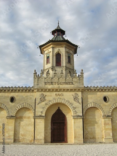 vignoble  bordeaux 